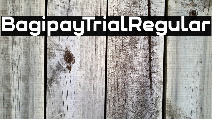 Bagipay Trial Regular Example 1