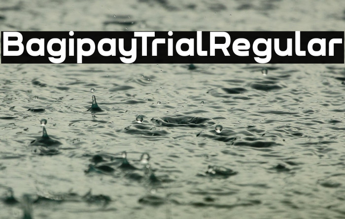 Bagipay Trial Regular Example 3