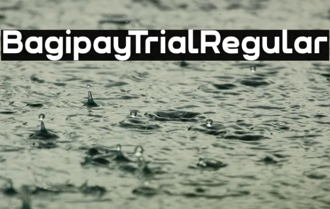 Bagipay Trial Regular Example 3