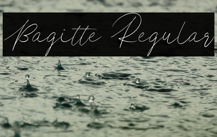 Bagitte Regular Example 1