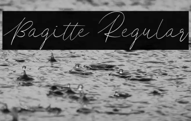 Bagitte Regular Example 1