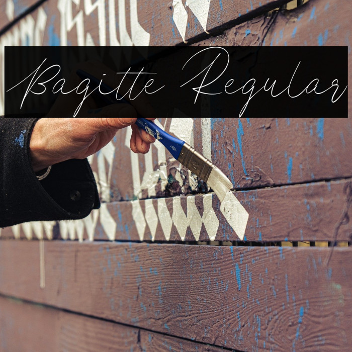 Bagitte Regular Example 2