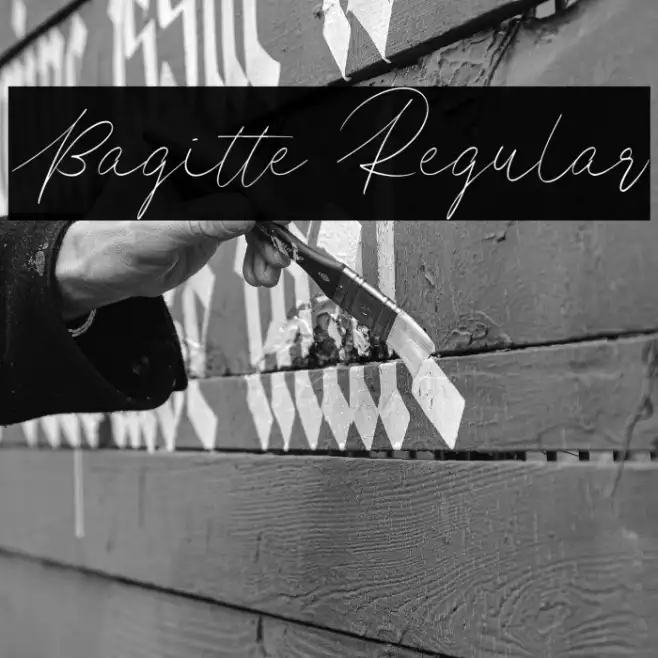 Bagitte Regular Example 2
