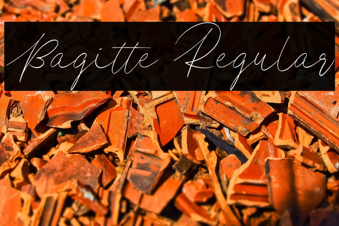 Bagitte Regular Example 3
