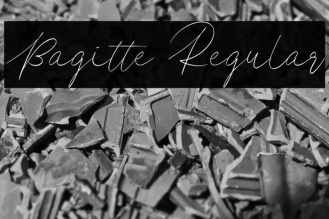 Bagitte Regular Example 3