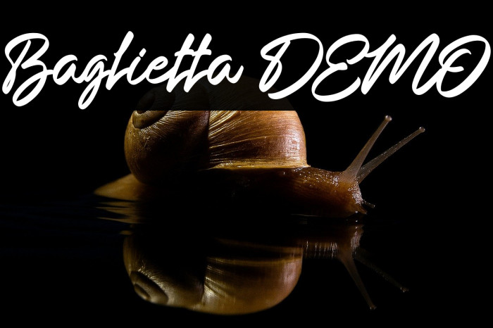Baglietta DEMO Example 2