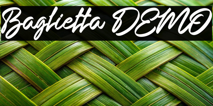 Baglietta DEMO Example 3