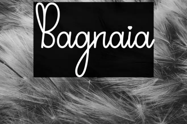 Bagnaia Font examples