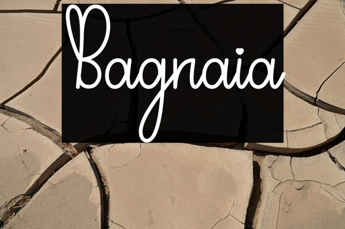 Bagnaia Example 2