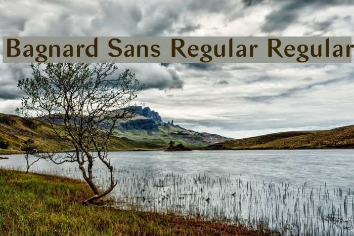 Bagnard Sans Regular Regular Font examples
