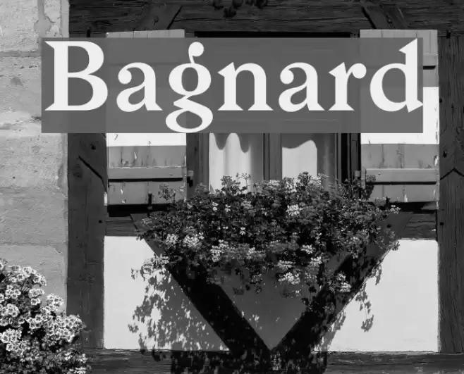 Bagnard Font examples