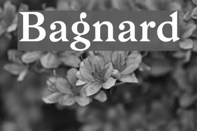Bagnard Font examples