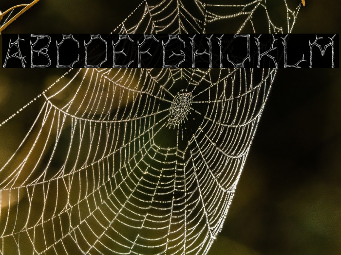 Bagonk-Branch Example 1