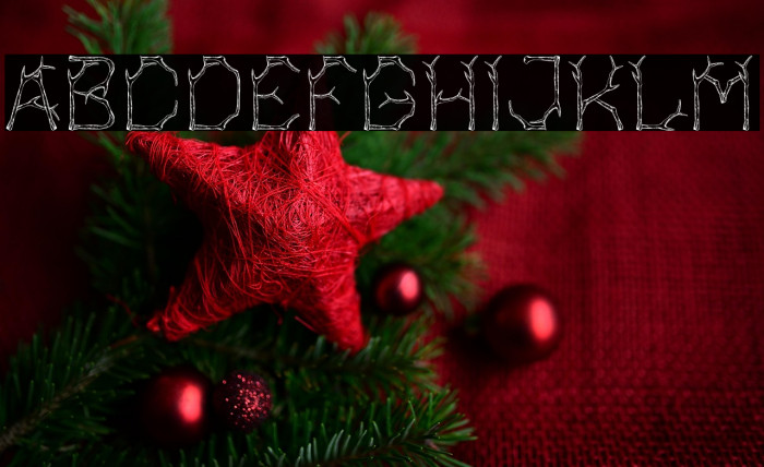 Bagonk-Branch Example 3