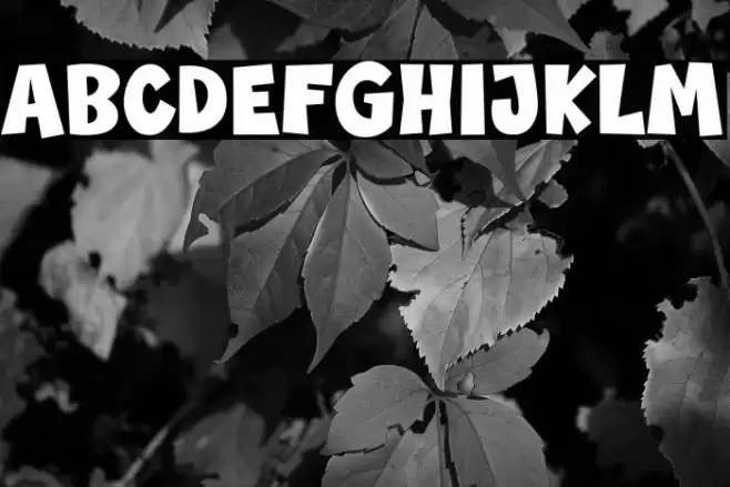 Bagonk Font examples