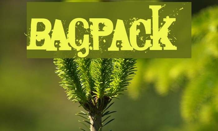 Bagpack Font examples