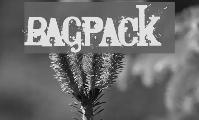 Bagpack フォント examples