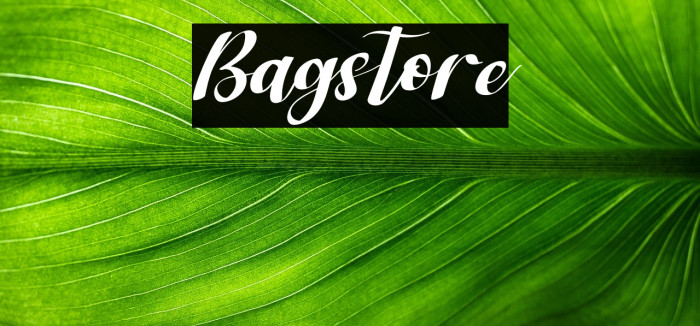 Bagstore Example 1
