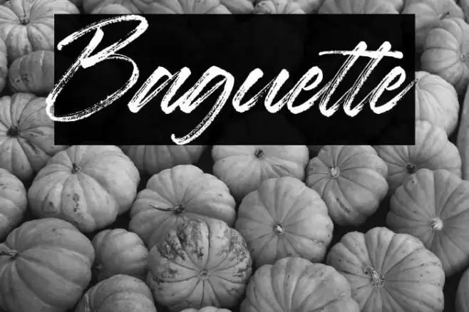 Baguette Font examples