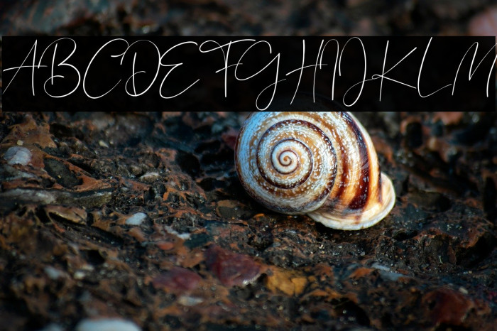 Bagus Stanlley Example 2