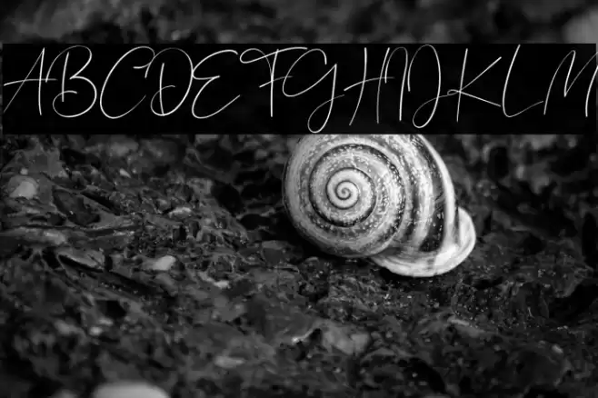 Bagus Stanlley Font examples