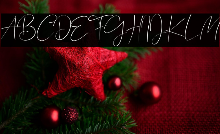 Bagus Stanlley Example 3