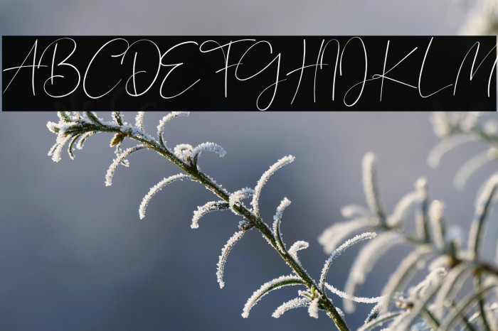 Bagus Stanlley Example 2