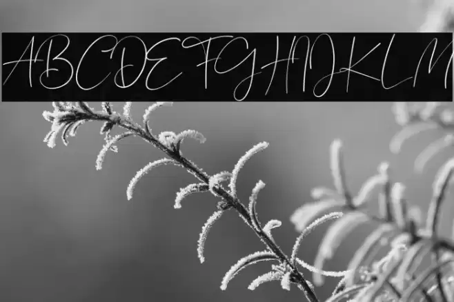 Bagus Stanlley Font examples