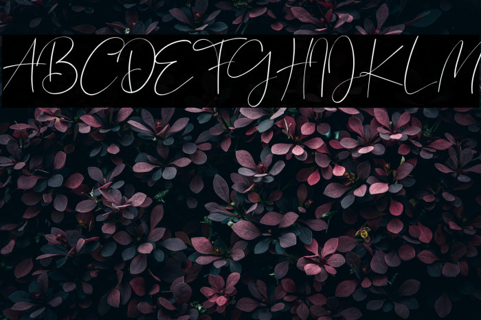 Bagus Stanlley Example 3