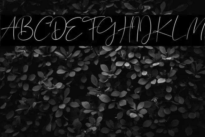 Bagus Stanlley Font examples