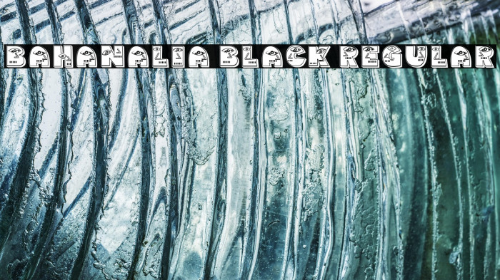 Bahanalia Black Regular Example 2