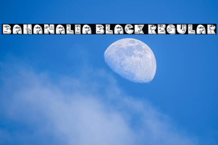 Bahanalia Black Regular Example 3