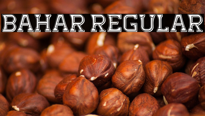 Bahar Regular Example 1