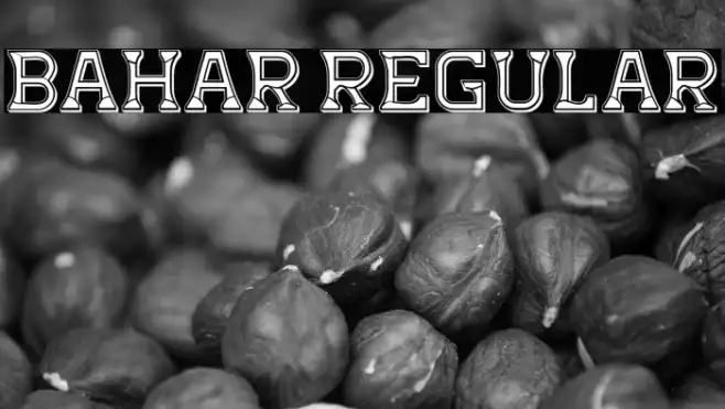 Bahar Regular Example 1