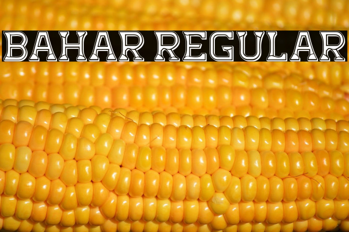 Bahar Regular Example 2