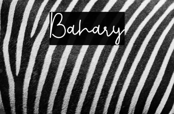 Bahary Font examples