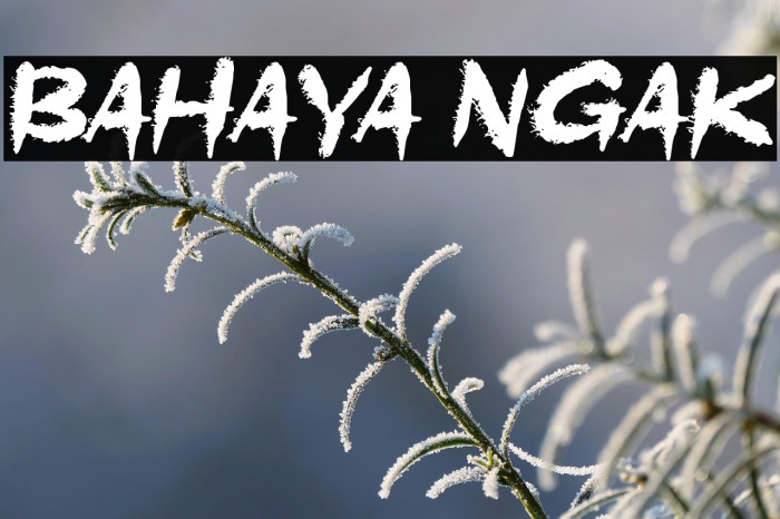 Bahaya Ngak Example 1