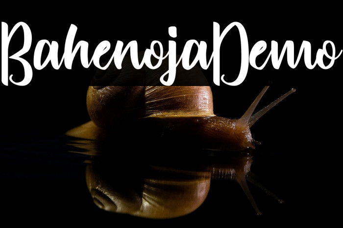 Bahenoja-Demo Example 1