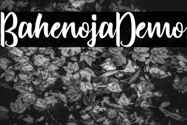 Bahenoja-Demo Example 2