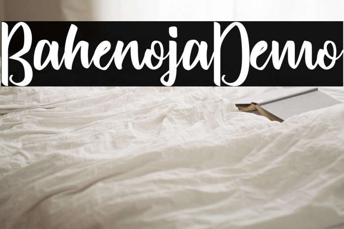 Bahenoja-Demo Example 3