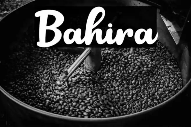 Bahira Font examples