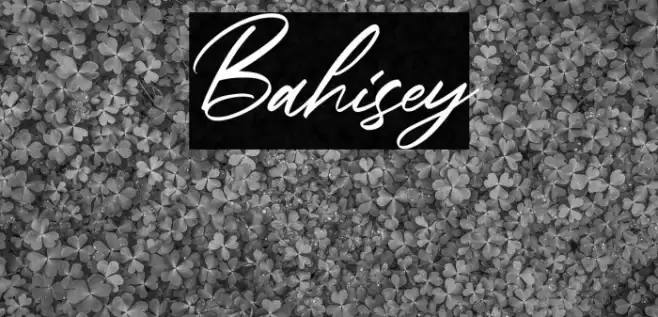 Bahisey Font examples