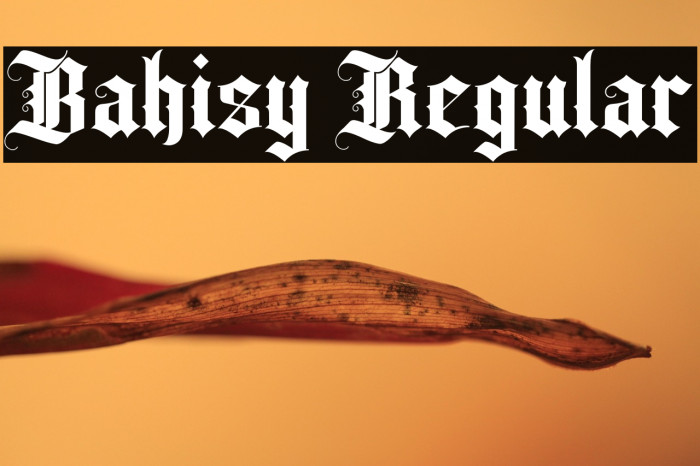 Bahisy Regular Example 1