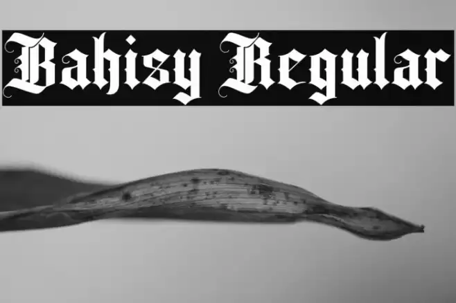 Bahisy Regular Font examples