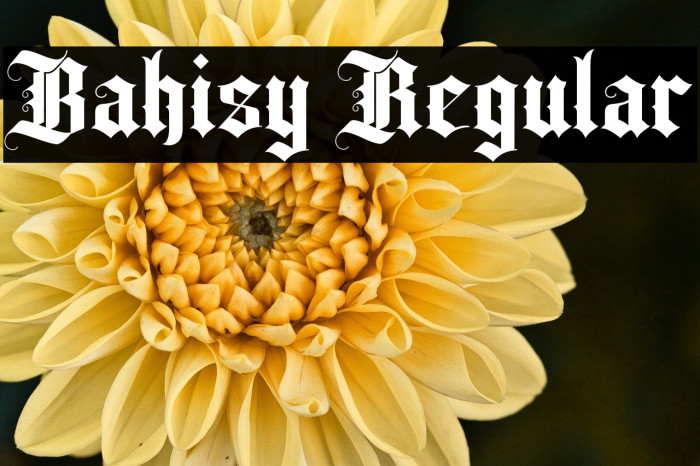 Bahisy Regular Example 2