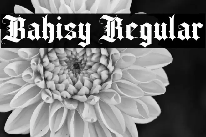 Bahisy Regular Font examples