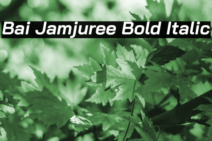 Bai Jamjuree Bold Italic Font examples