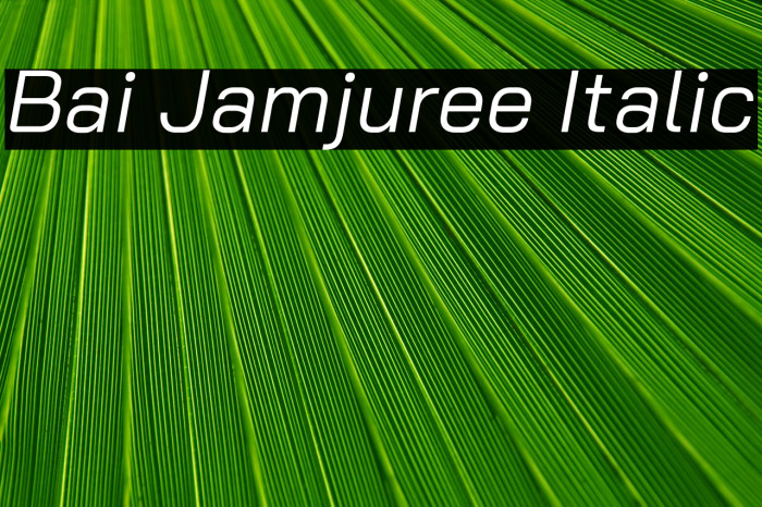Bai Jamjuree Italic Font examples