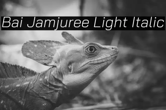 Bai Jamjuree Light Italic Font examples