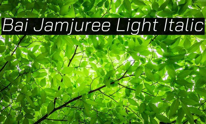 Bai Jamjuree Light Italic Font examples